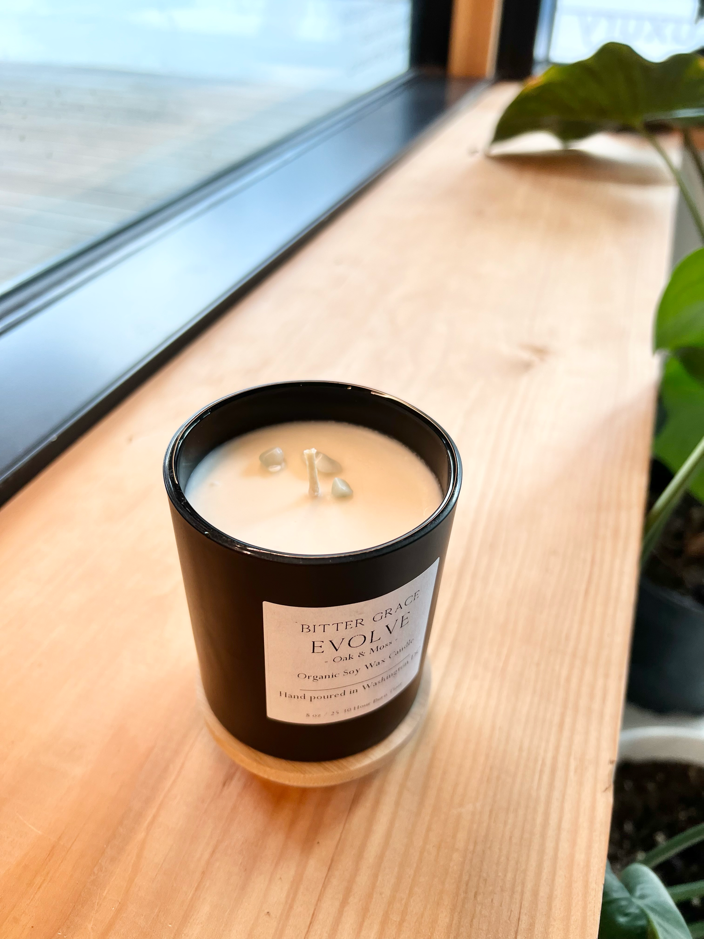 EVOLVE Oak + Moss Candle