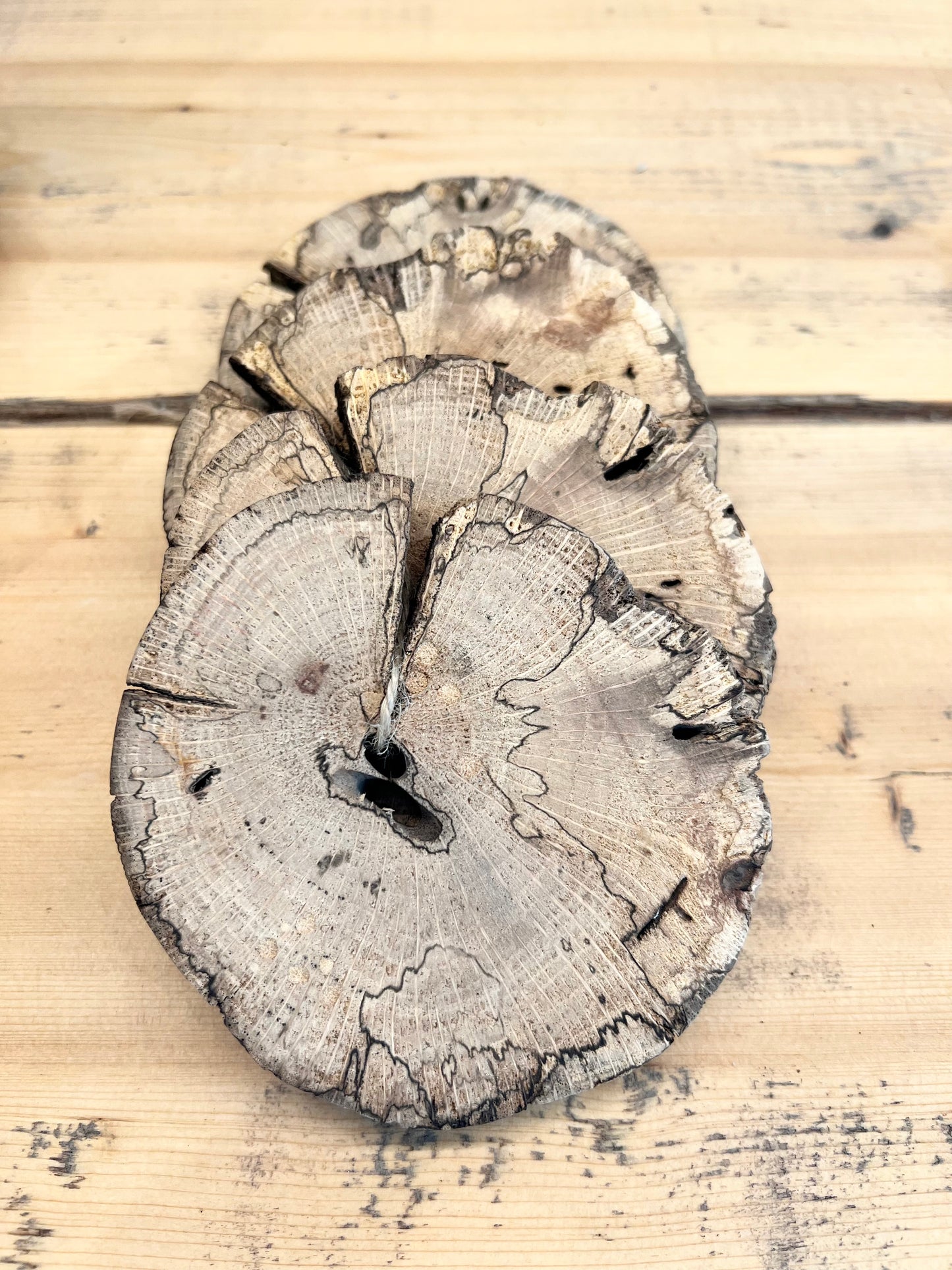 Round Wood Live Edge Coasters Set